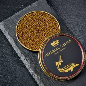 أوسيترَا سيليكشن